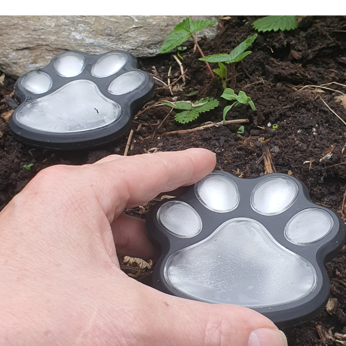 GlowPaws – Solar Pootverlichting