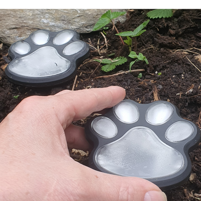 GlowPaws – Solar Pootverlichting
