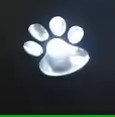 GlowPaws – Solar Pootverlichting